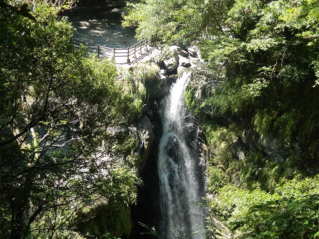 滿月圓國家森林遊樂區