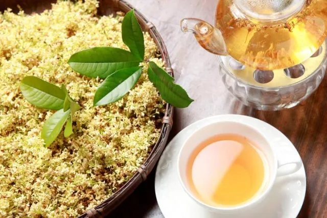 茶鄉桂花農園