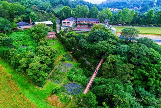 文山農場