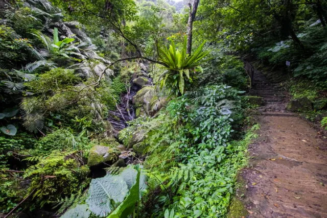 銀河洞登山步道