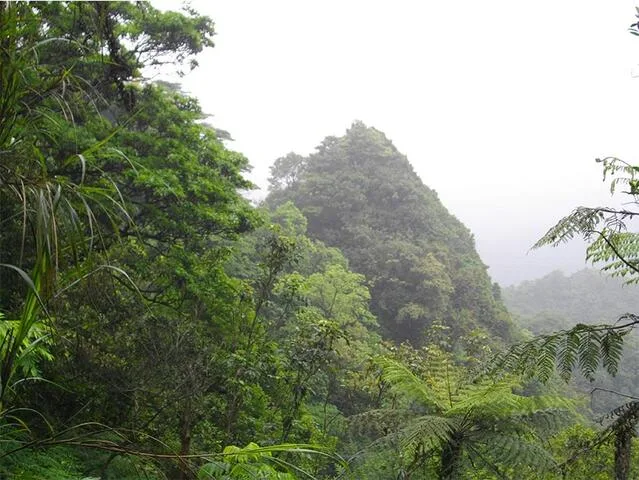 菁桐古道