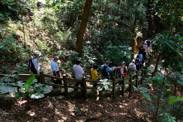 大坑7號登山步道
