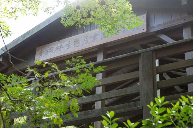 青桐林生態園區