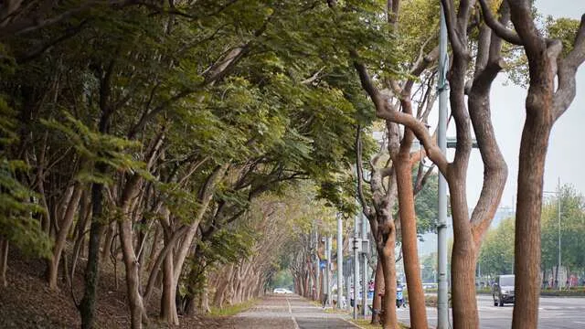 中科自行車道