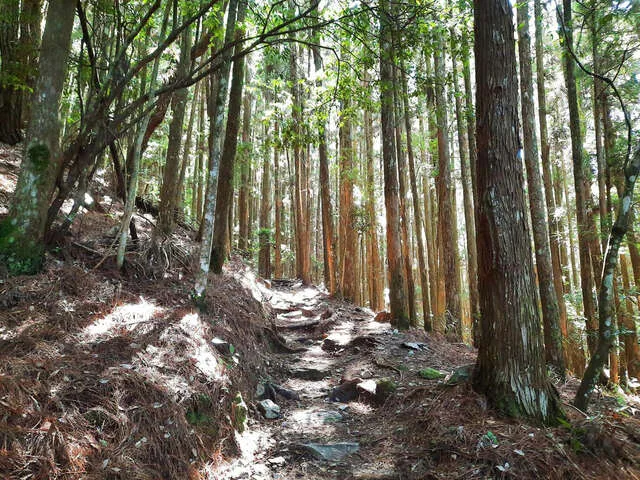 馬崙山步道(部分封閉)