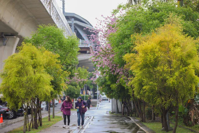 綠空廊道