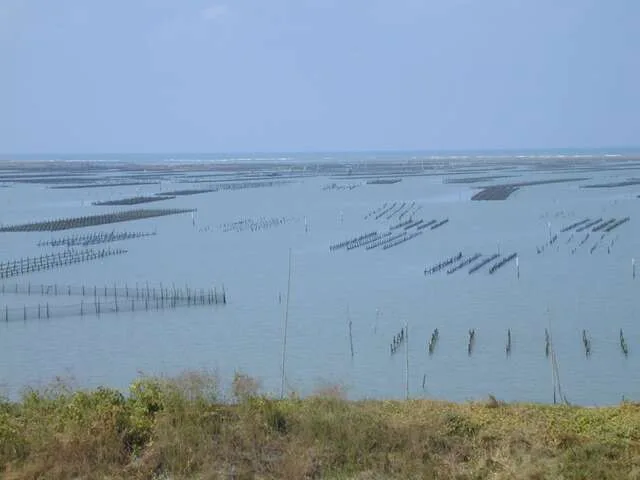 七股潟湖