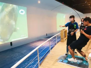 虛擬釣魚