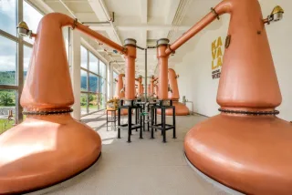 線蒸餾器