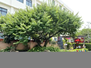 棉花田教學區