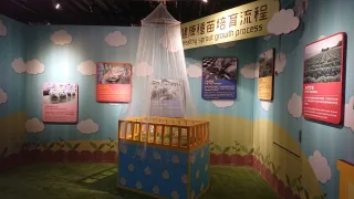 健康種苗培育流程