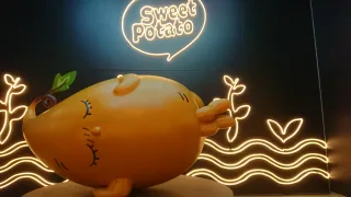 Sweet Potato