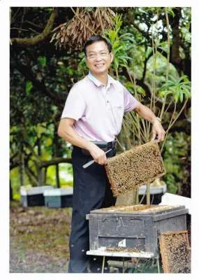 示範如何取得蜂蜜