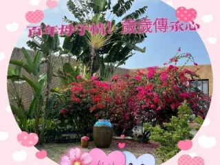 九重葛花卉區