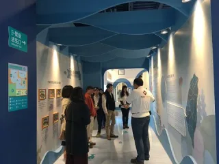 導覽