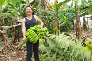 熱愛土地、熱愛台灣、熱愛香蕉