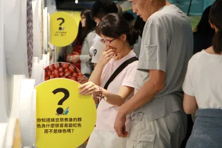 穀豆知識區