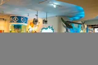 海洋3D彩繪