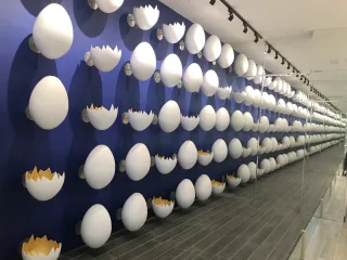 拍照亮點