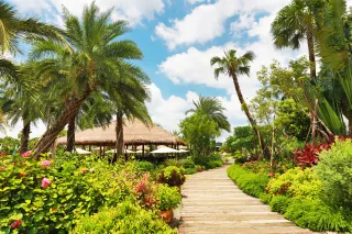 雅聞BALI