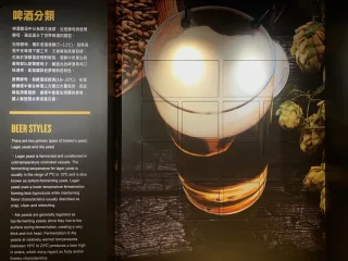 啤酒分類介紹