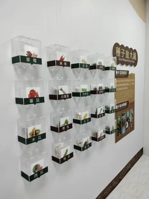 實體種子牆