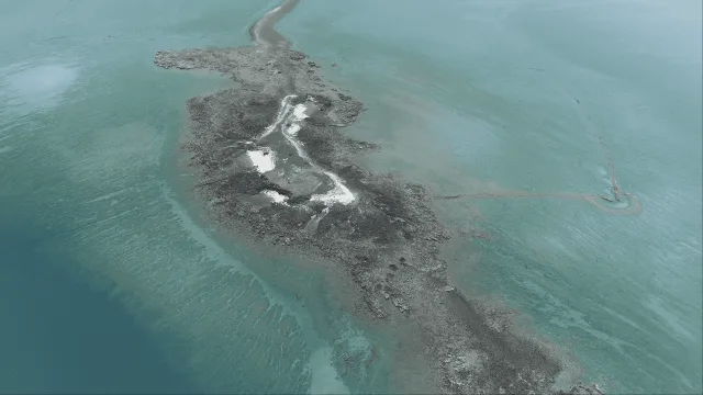 金嶼
