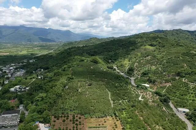 鶴岡文旦觀光果園