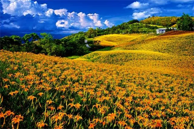 赤科山