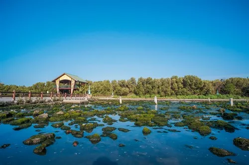 右岸濕地
