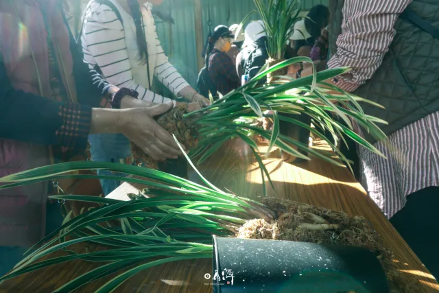 大林休閒農業區