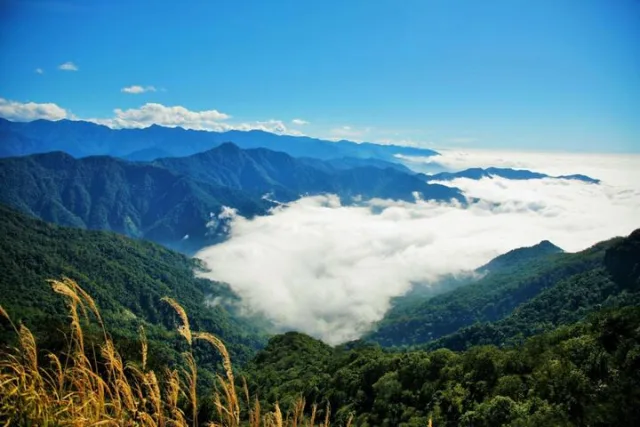加里山步道
