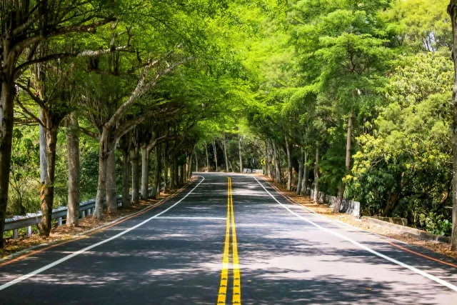 縣139線景觀道路
