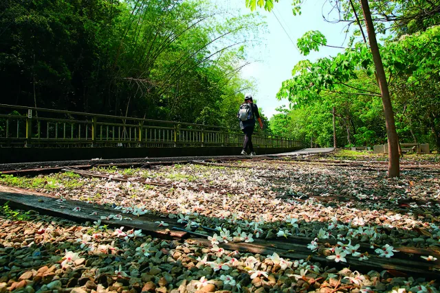 挑水古道