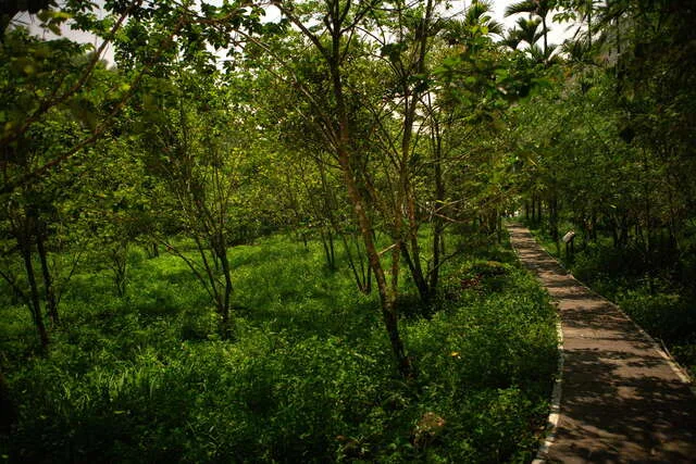 光華賞螢步道