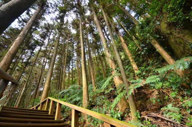 仙人堀步道