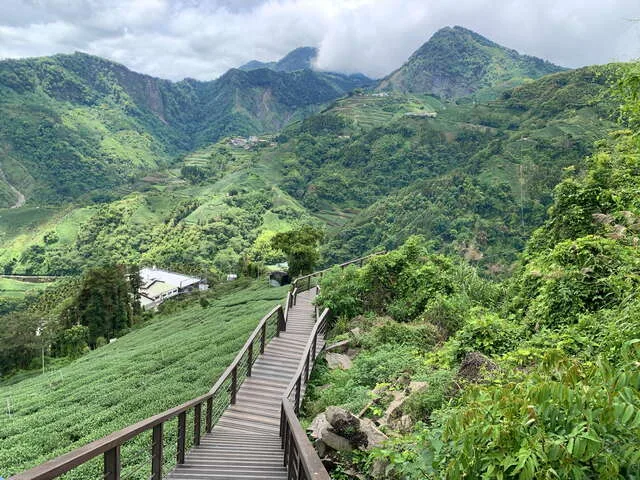 油車寮步道