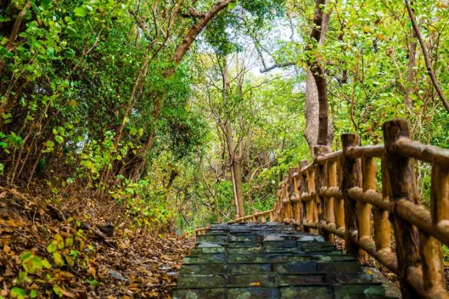 茂林紫蝶生態公園（紫蝶幽谷）