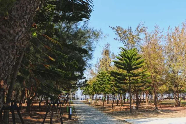 新岑公園