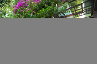 DSC00796