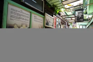 DSC00797