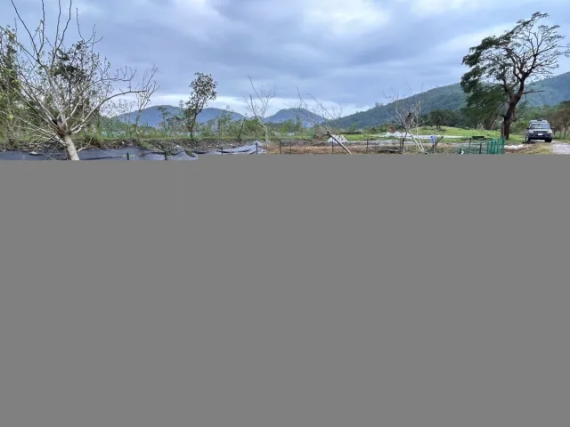白米木屐村
