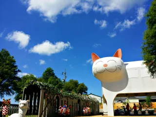 貓車站